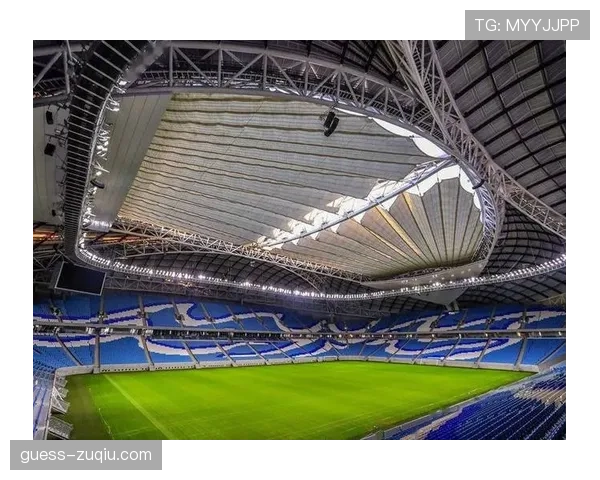 阿尔及利亚球场事故调查揭示体育场护栏设计存在重大安全隐患